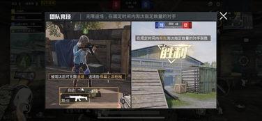 外国人和平精英爆料视频,外国人视角下的游戏体验与爆料