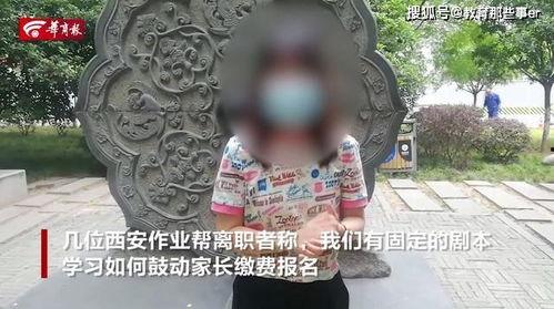 杀猪盘爆料完整视频,完整视频曝光诈骗手段 第2张 杀猪盘爆料完整视频,完整视频曝光诈骗手段 第2张